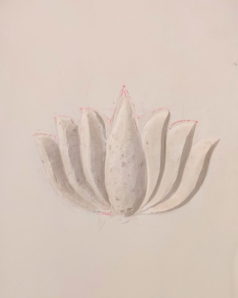 Lotus Stems, process-2